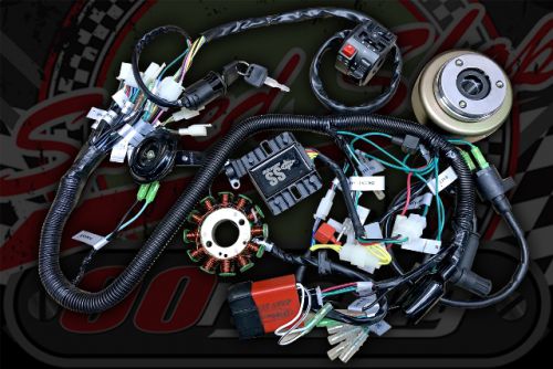Loom kit. Monkey & Pit bike running Z190 engine with 3 phase gen and ignition corrector.