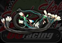 Wiring loom GEN 2  OORacing high grade universal with many functions pre wired in.